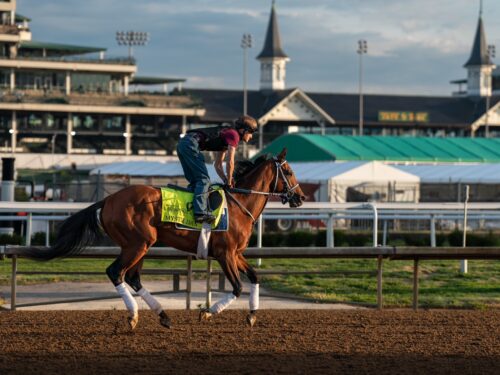Mystik Dan prepares for Kentucky Derby 150 under the iconic Twin Spires at Churchill Downs | Nicole Finch photo