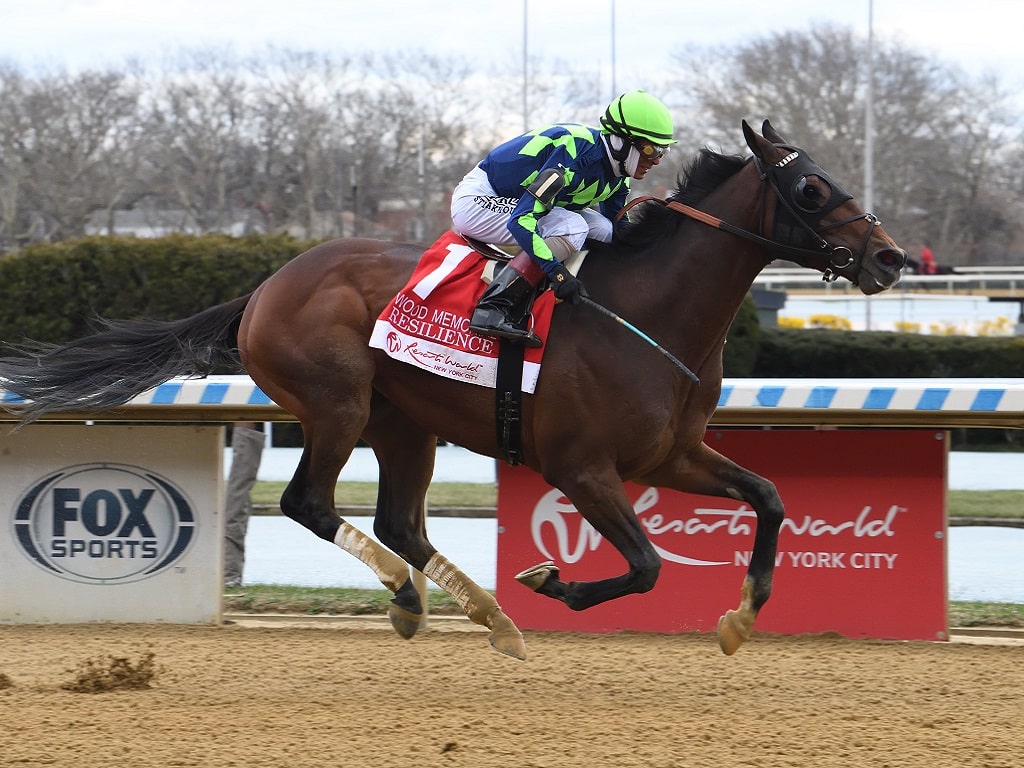 Resilience glides to victory in the 2024 Wood Memorial (G2) - Janet Garaguso/NYRA
