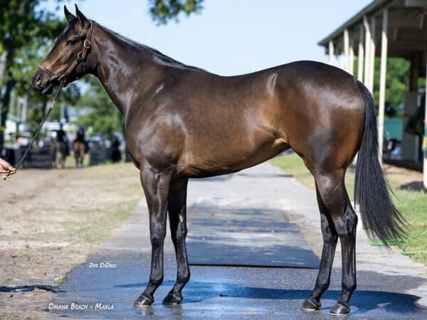 Hip308 Omaha Beach - Marla - ©Joe DiOrio/Winning Images Photography