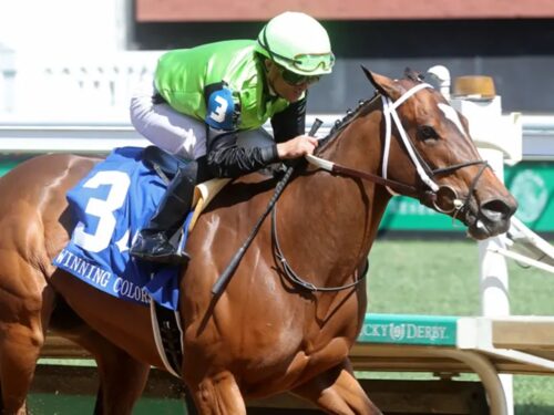 Clearly Unhinged earns her first stakes win in the 2024 Winning Colors S. (G3) at Churchill Downs - Coady photo
