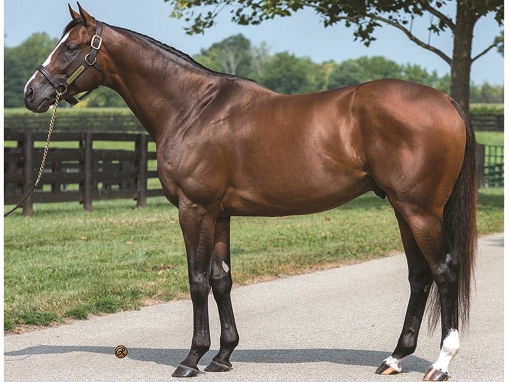 Home - Spendthrift - A Kentucky Thoroughbred Stallion Farm
