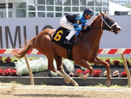 Verifire rolls to a 6 1/2-length win on May 16, 2025 at Pimlico - Bill Denver