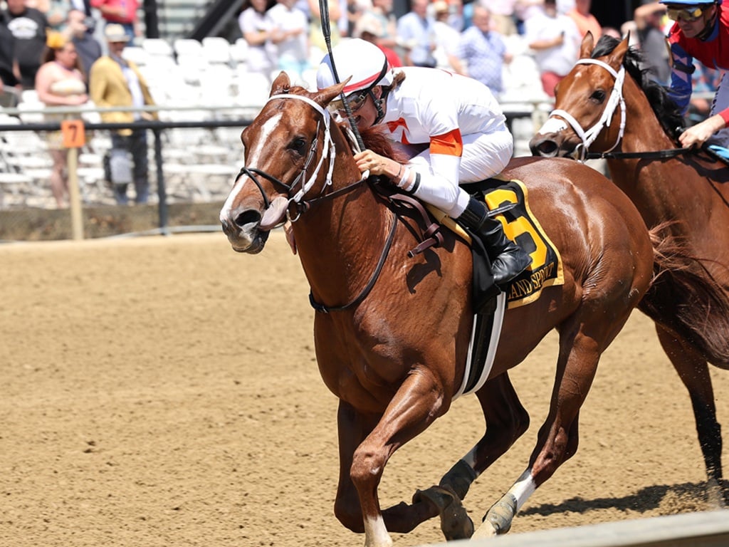 Booth posts a 100 Beyer Speed Figure in winning the Maryland Sprint S. (G3) - Bill Denver