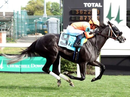 Shisospicy rolls to victory in the 2025 Mamzelle S. (G3) - Coady Media