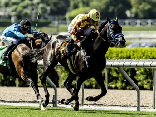 Freedom's Not Free wins the Cinema S, Sunday, May 11, 2025 at Santa Anita Park, Arcadia CA. © BENOIT PHOTO