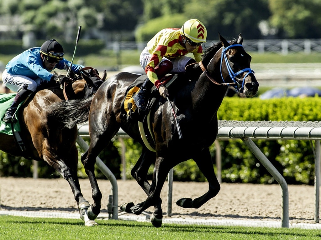 Freedom's Not Free wins the Cinema S, Sunday, May 11, 2025 at Santa Anita Park, Arcadia CA. © BENOIT PHOTO
