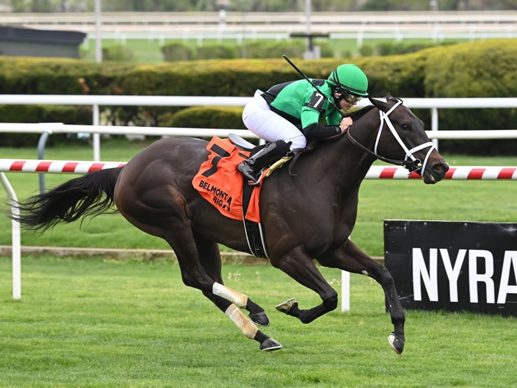 On Command goes gate-to-wire for her first stakes win in the License Fee S. - NYRA