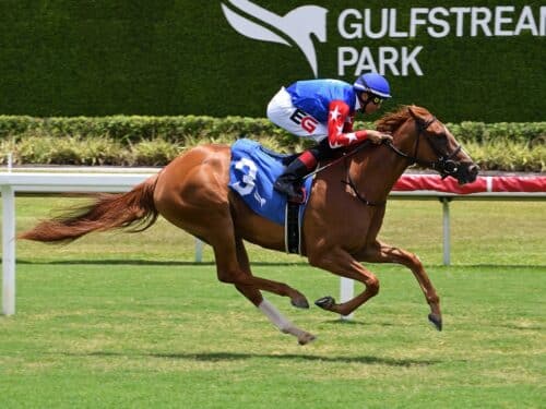 Known Agenda's first winner Pure Eloquence scores by five lengths on June 19 at Gulfstream Park - Ryan Thompson