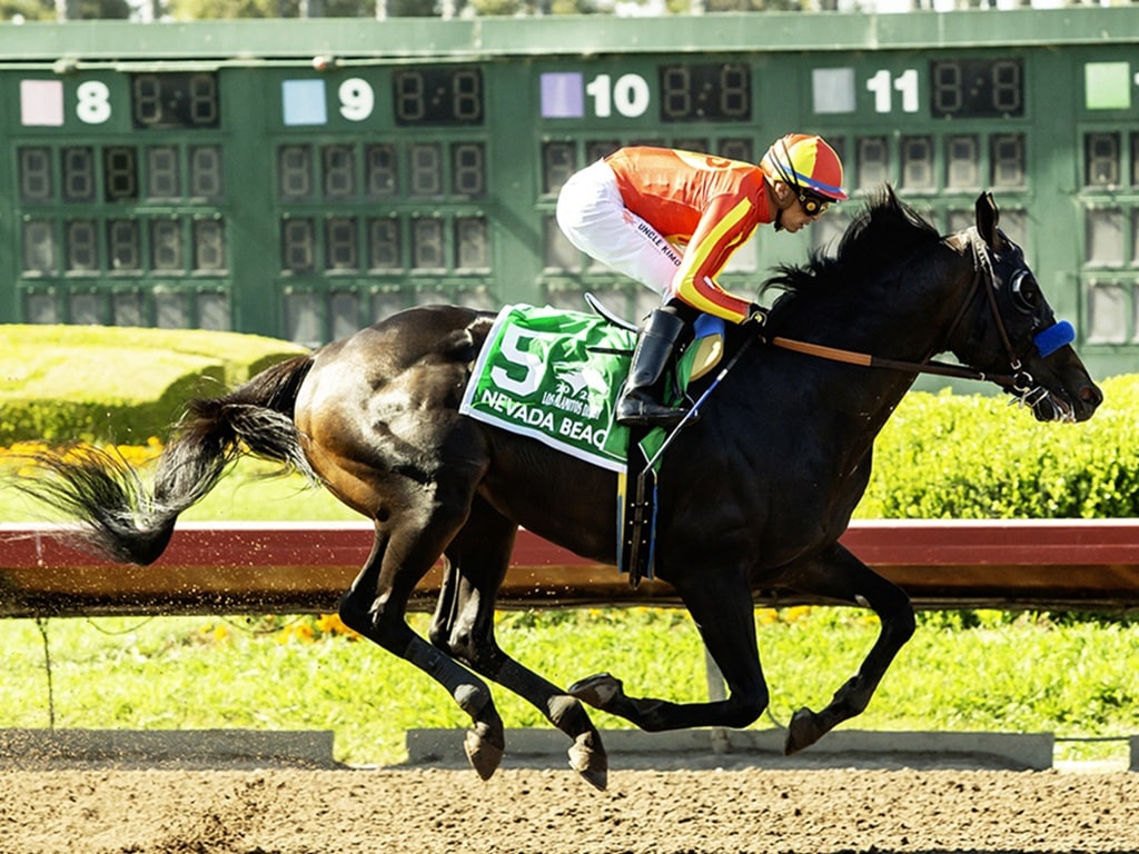 Nevada Beach and jockey Juan Hernandez make easy work of the $100,000 Los Alamitos Derby Saturday, June 28, 2025 / Benoit Photo