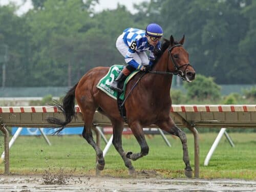 Bracket Buster coasts to victory in the 2025 Pegasus S. at Monmouth Park - Bill Denver EQUI-PHOTO