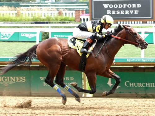 Dazzle d'Oro lives up to his name in his June 29th debut at Churchill Downs - Coady Media