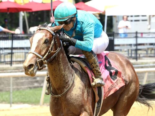 Sugaree, the first winner for By My Standards, winning at Colonial Downs on July 12, 2025 - Coady photo