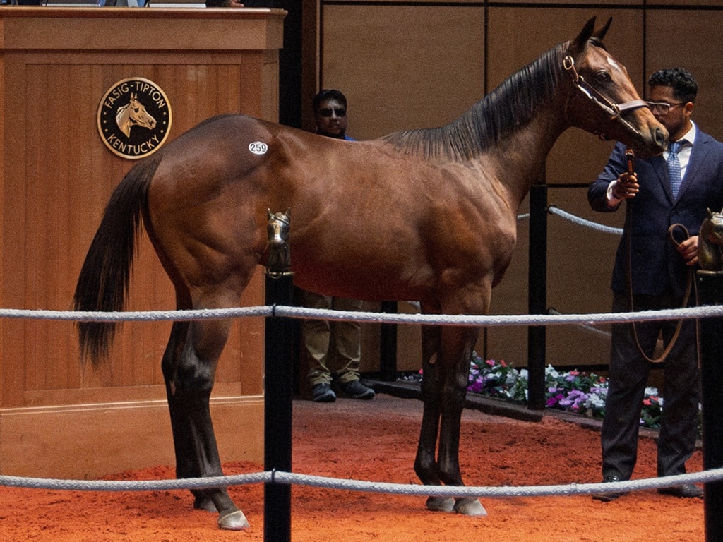 Cyberknife's $330,000 colt, hip 259, at the F-T July 2025 Yearling sale - Kendall Rucker