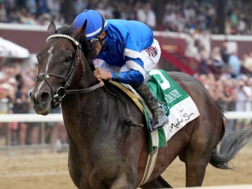 Sovereignty is hand-ridden to victory by Junior Alvarado in the $500,000 Jim Dandy S. (G2) - Joe Labozzetta