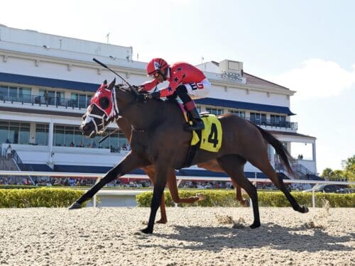 3yo filly Scarlet Sands wins her third in a row in the 2025 Miss Gracie S. at Gulfstream | Coglianese photo