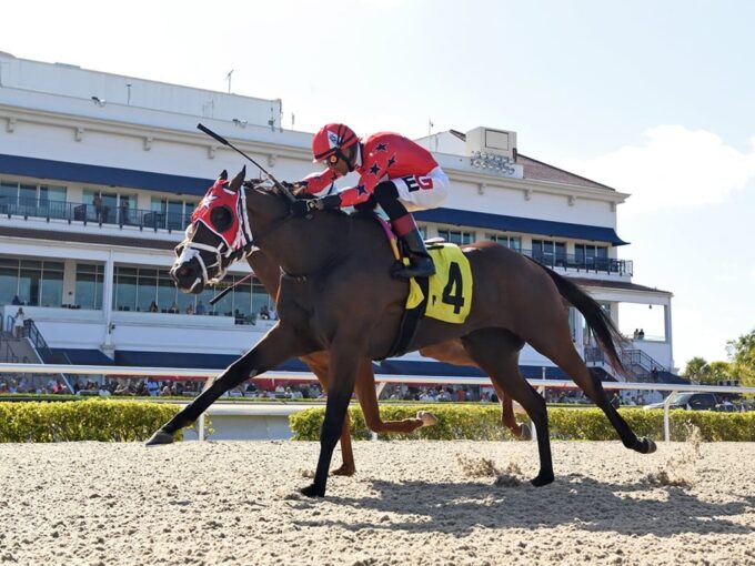 3yo filly Scarlet Sands wins her third in a row in the 2025 Miss Gracie S. at Gulfstream | Coglianese photo