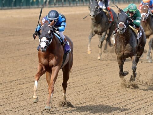 Verifire strides clear in the late stages of the Maxfield S. - John Gallagher/Coady Media
