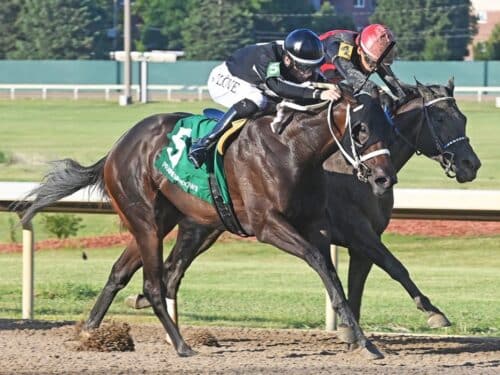 Sassy C W (#5) digs in to win the Prairie Gold Lassie S. - Coady photography