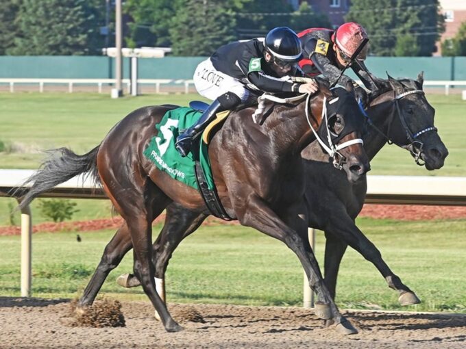 Sassy C W (#5) digs in to win the Prairie Gold Lassie S. - Coady photography