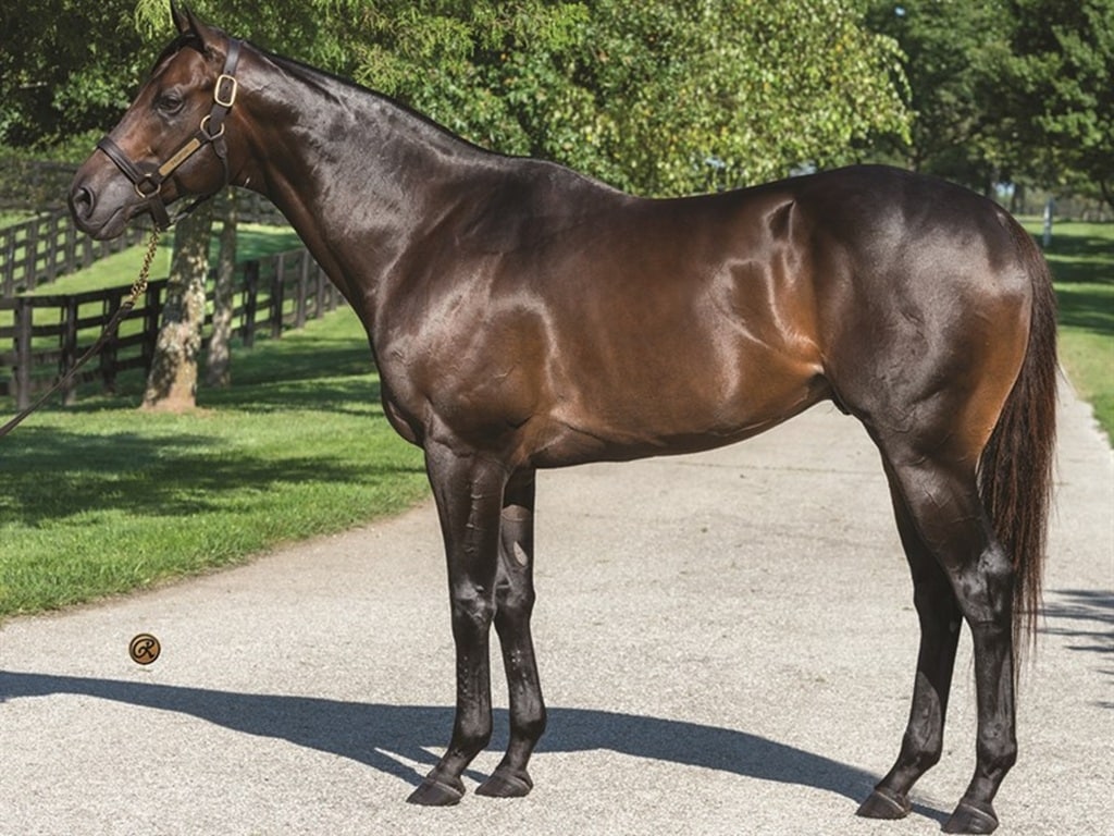 Home - Spendthrift - A Kentucky Thoroughbred Stallion Farm
