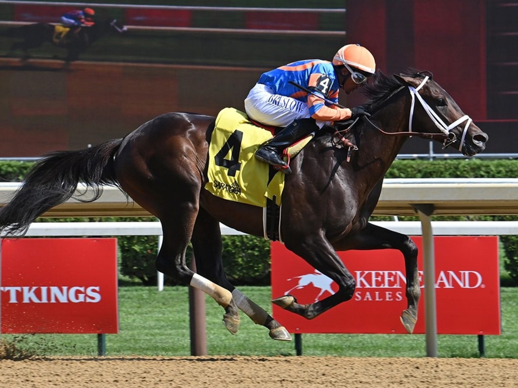 Yaupon's Emphasis wins impressively at first asking on July 19, 2025 at Saratoga - Susie Raisher