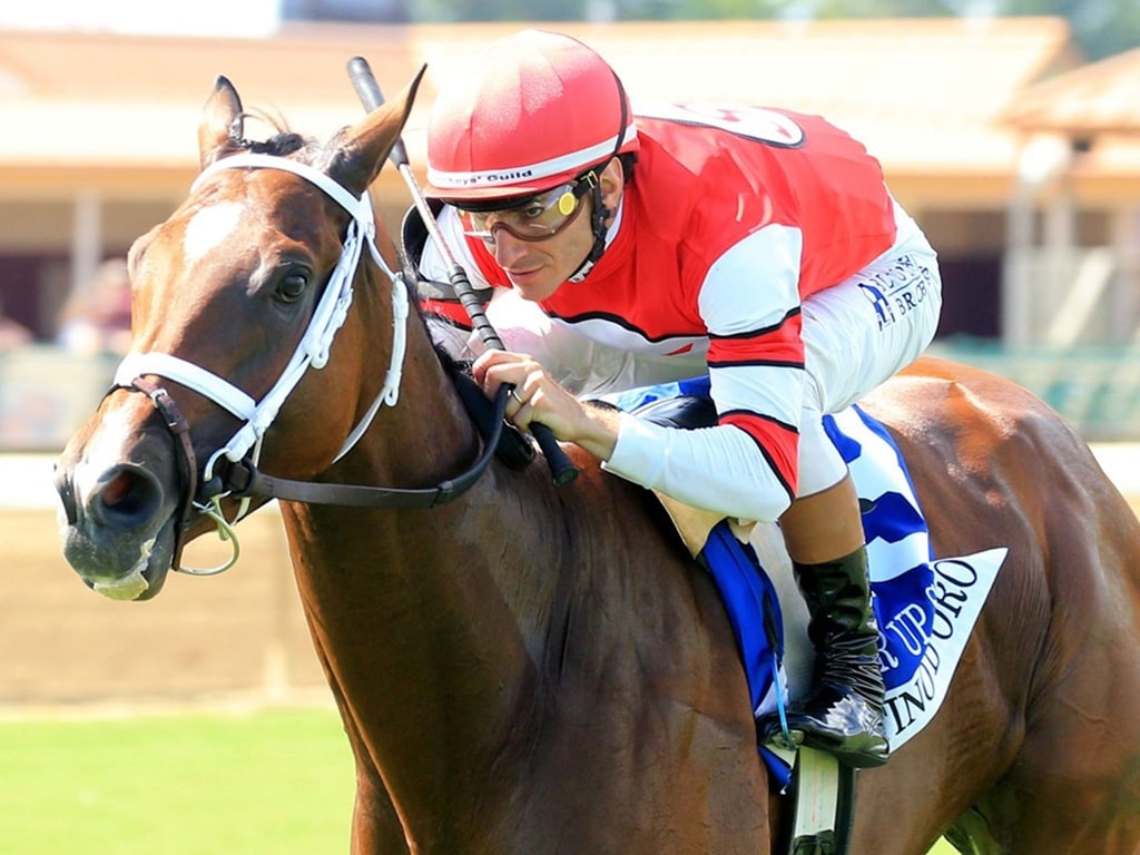 Destino d'Oro earns her first graded win in Ellis Park's $400,000 Pucker Up S. (G3) - Coady media
