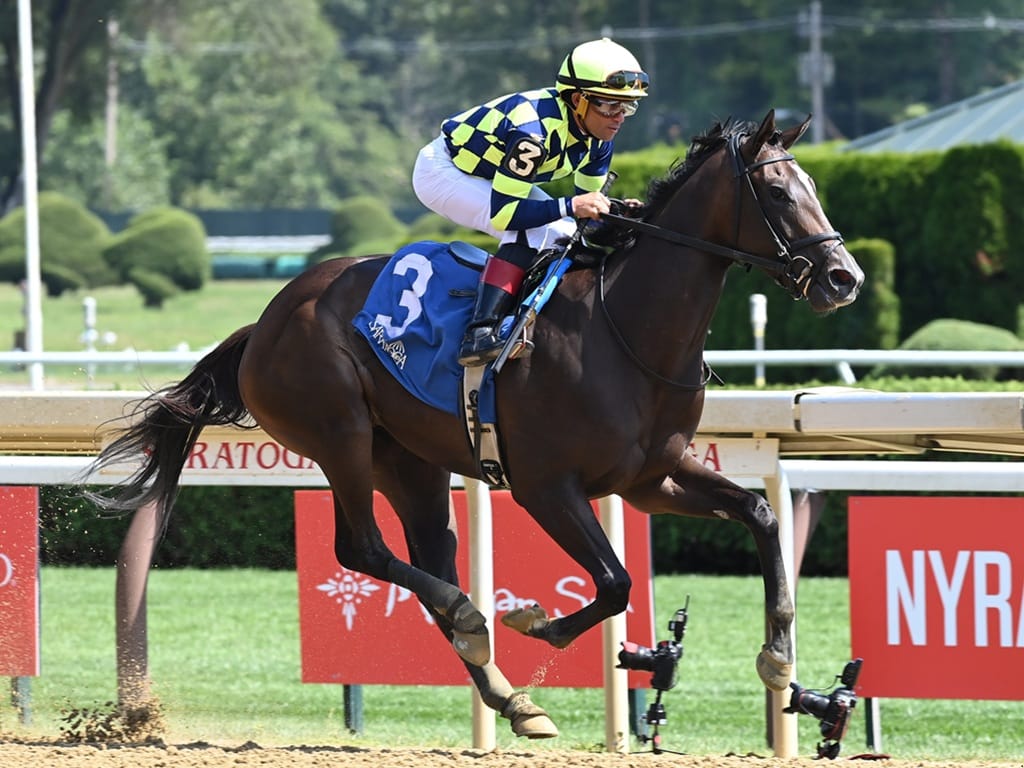 Authentic's Iron Orchard coasts to victory in the 2025 Seeking the Ante S. at Saratoga - NYRA photo
