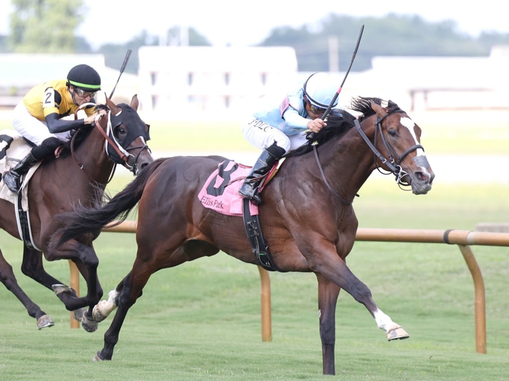 Tomasello reaches for the finish line at Ellis Park in the KY Downs Preview Nashville Derby - Coady media
