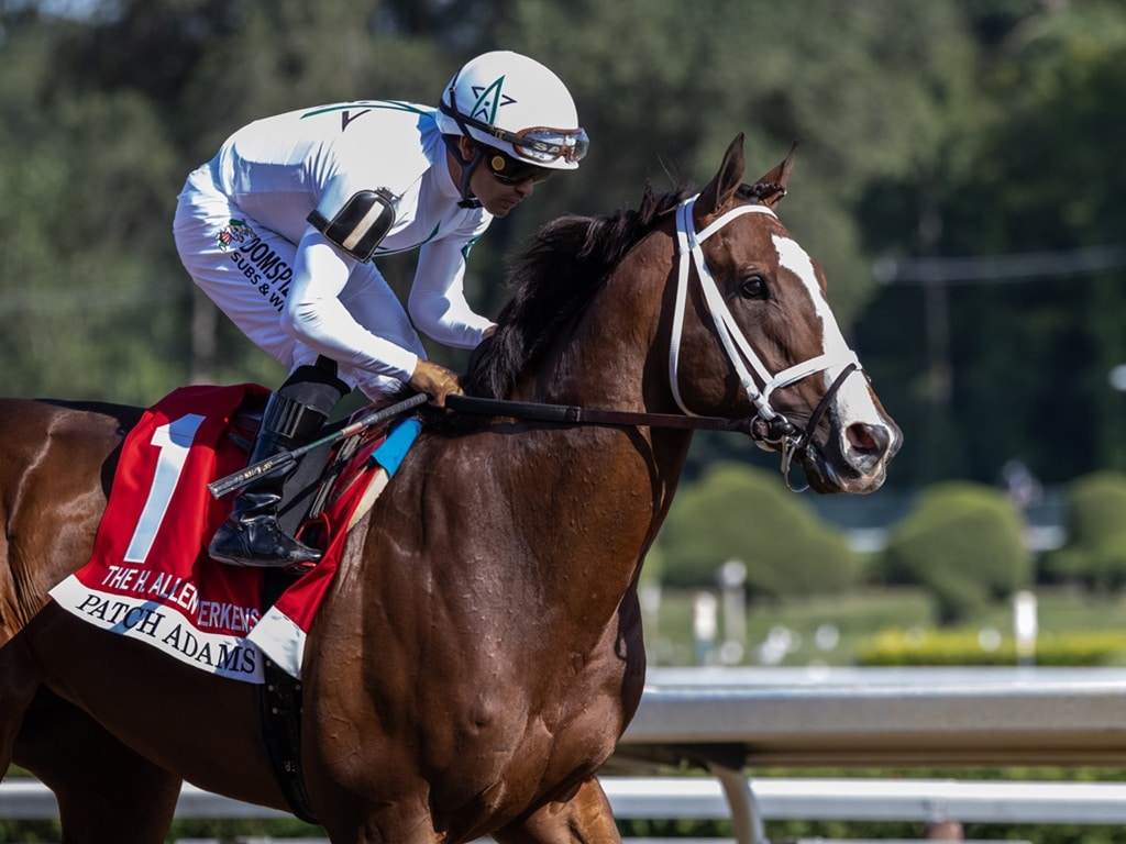 Patch Adams was one of two Grade 1 winners for Into Mischief on Aug. 23 at Saratoga - NYRA photo