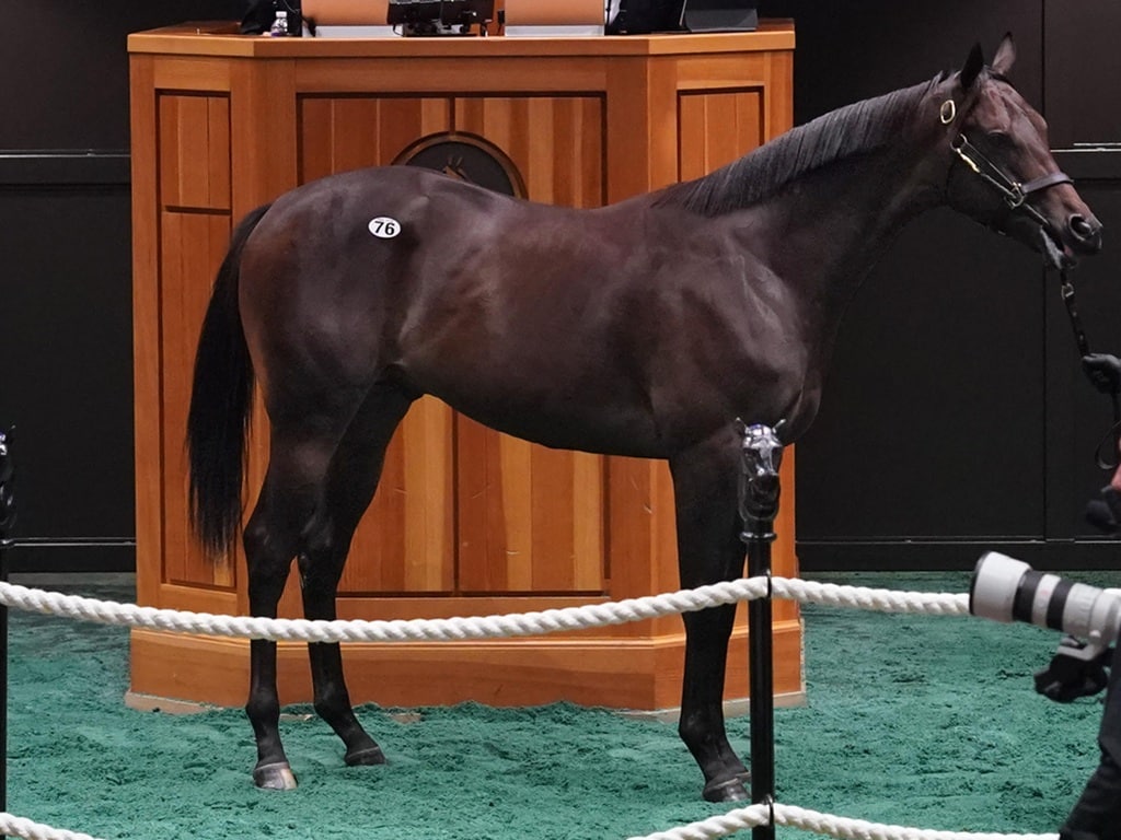 Hip No. 76, a colt by Jackie's Warrior, brings $625,000 at the Fasig-Tipton Saratoga Yearling sale - photo by Z