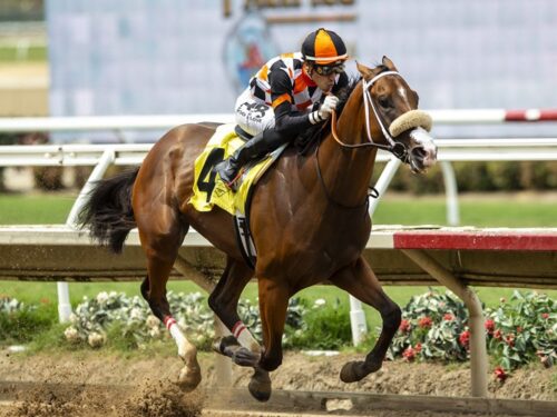 Intrepido impresses in his maiden win Aug. 23 at Del Mar - Benoit photo