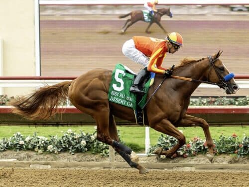 Desert Gate romps in the Best Pal S. (G3) at Del Mar for his first stakes win - Benoit photo