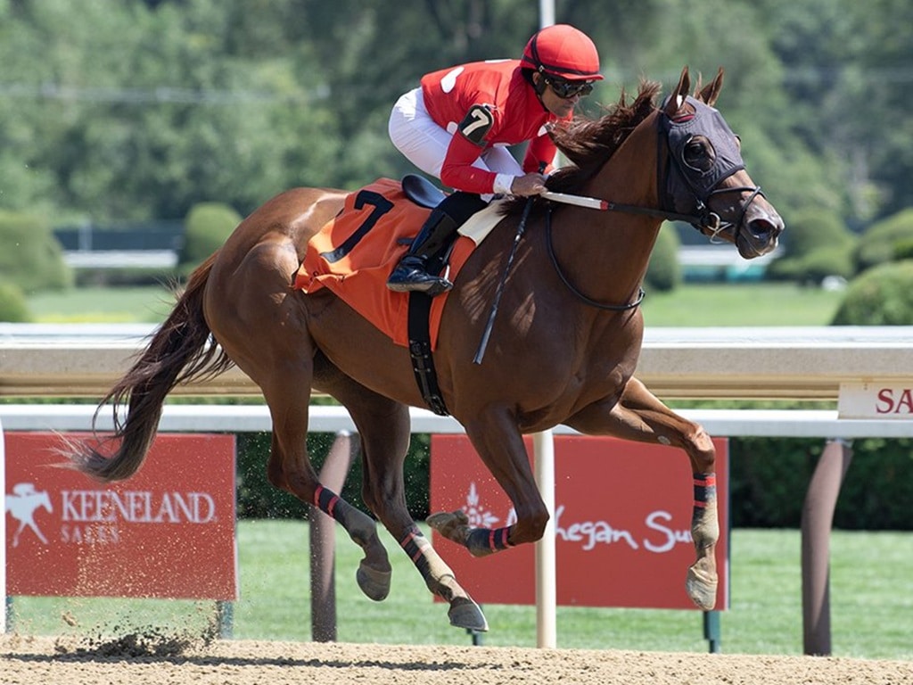 Delightful Claire coasts to a 'Rising Star' win Aug. 2 at Saratoga - Tod Marks