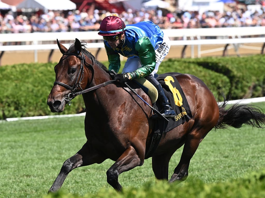 Vekoma's Bottas wins with his ears pricked in his Aug. 23 debut at Saratoga - NYRA photo