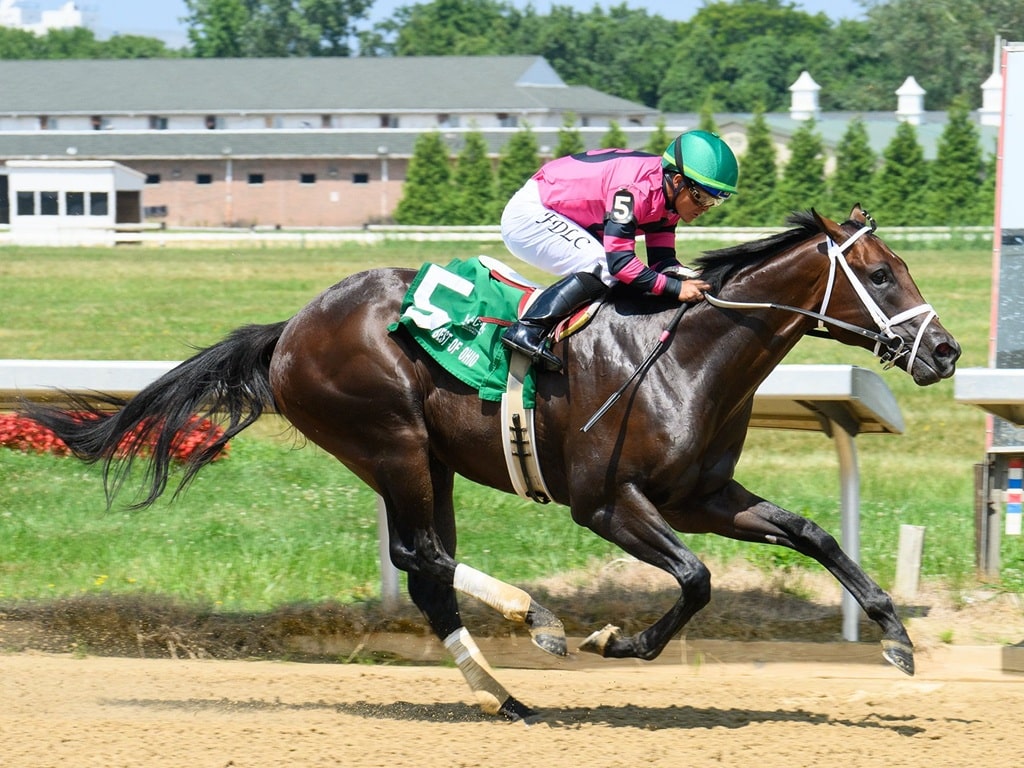 Crown the Buckeye coasts home a 12-length winner in the Cleveland Kindergarten S. - Thistledown