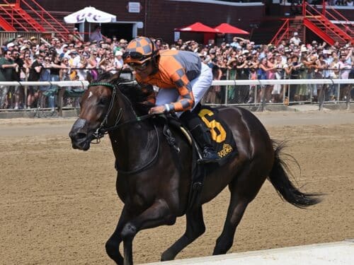Tennessee Belle cruises to an easy maiden special weight victory Aug. 16 at Saratoga - Susie Raisher