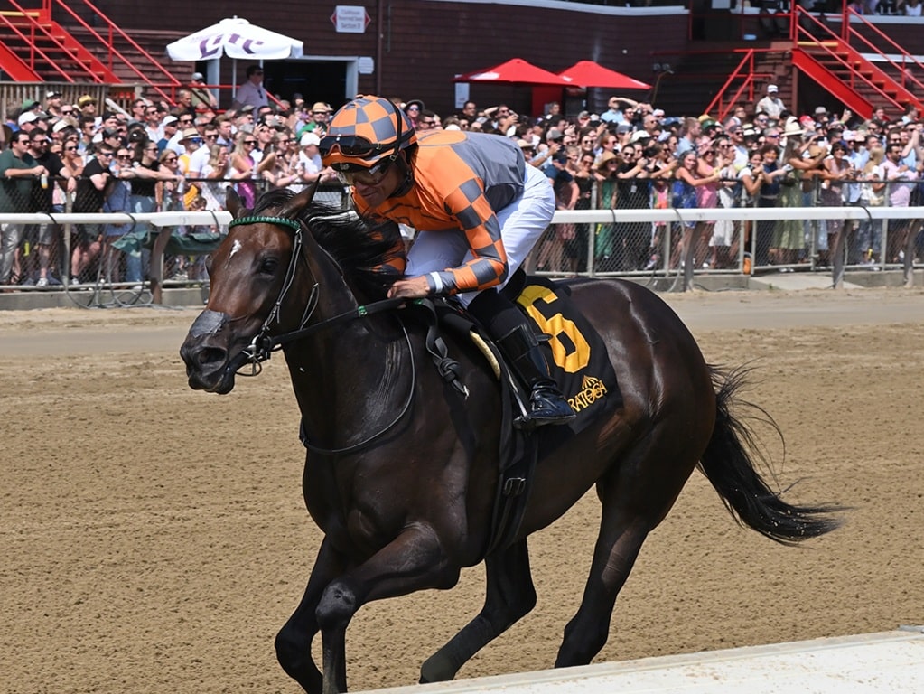 Tennessee Belle cruises to an easy maiden special weight victory Aug. 16 at Saratoga - Susie Raisher