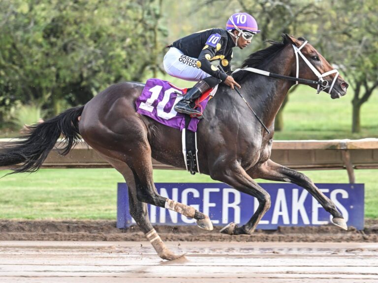Undefeated 2yo colt Arctic Beast wins New York's Aspirant S. by 7 1/4 lengths 