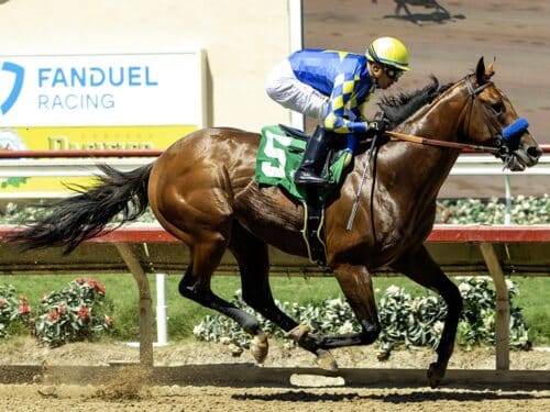 Citizen Bull and jockey Juan Hernandez win the $125,000 Shared Belief Stakes, Sunday, August 31, 2025 at Del Mar Thoroughrbed Club, Del Mar CA. © BENOIT PHOTO