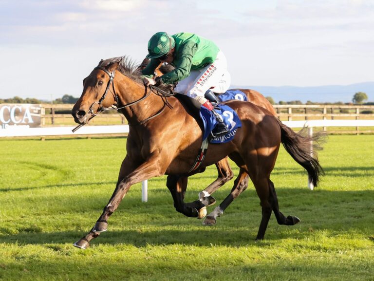 2yo filly Yaupon de Replay wins the listed Blenheim Stakes at Fairyhouse Racecourse in Ireland on debut