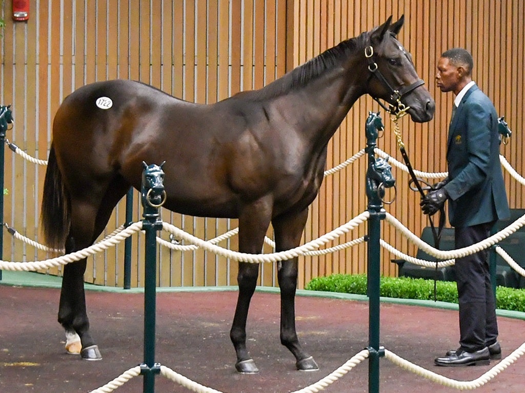 Bolt d'Oro's $600,000 filly, hip 1172, in the Keeneland Sales ring - Judit Seipert