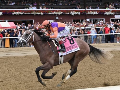 Ted Noffey carries the Spendthrift colors to victory in the Hopeful S. (G1) - Chelsea Durand NYRA