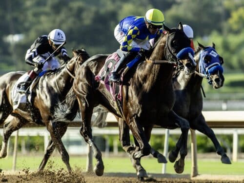 Imagination wins the Grade II, $200,000 Santa Anita Sprint Championship on September 28, 2025 at Santa Anita Park, Arcadia CA. © BENOIT PHOTO
