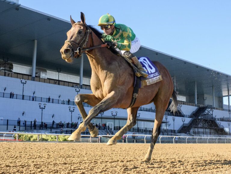 Chancer McPatrick | 2024 Champagne S. (G1) at Belmont at Aqueduct | NYRA photo