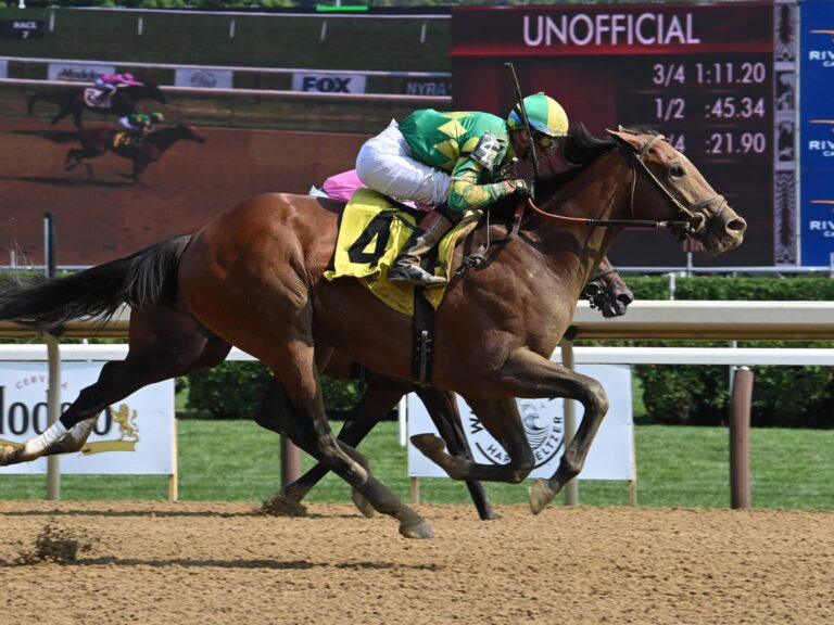 Chancer McPatrick | 2024 MdSpWt on debut at Saratoga | *TDN Rising Star* | NYRA photo