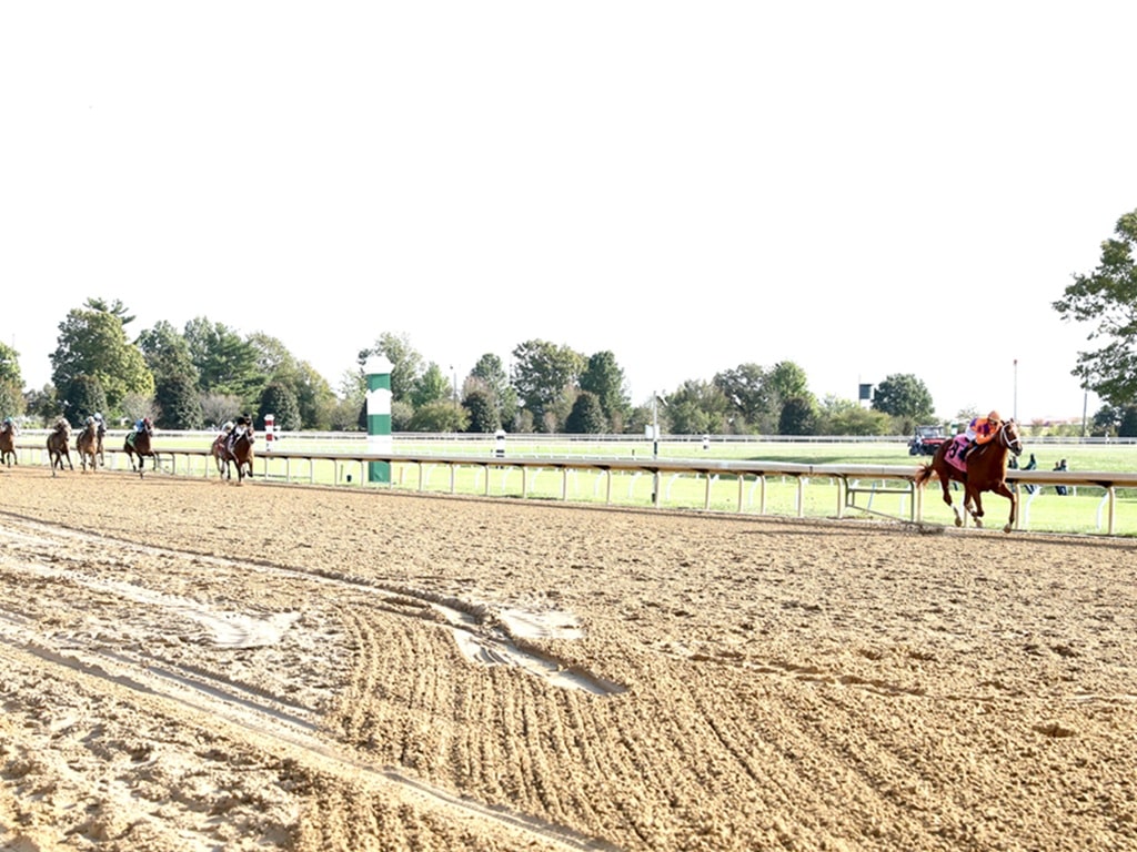 Further Ado leaves the competition far behind in his Oct. 10 maiden-breaking win at Keeneland - Coady Media