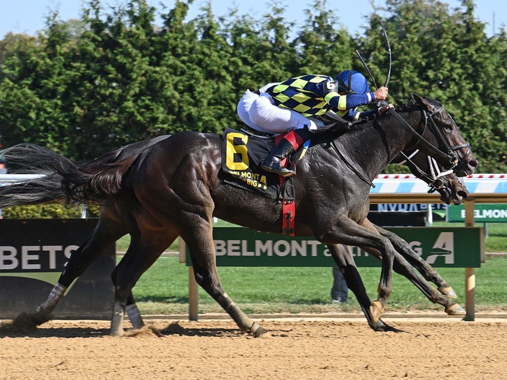 Iron Orchard outduels a nearly-obscured Rileytole to win the 2025 Frizette S. (G1) - Susie Raisher