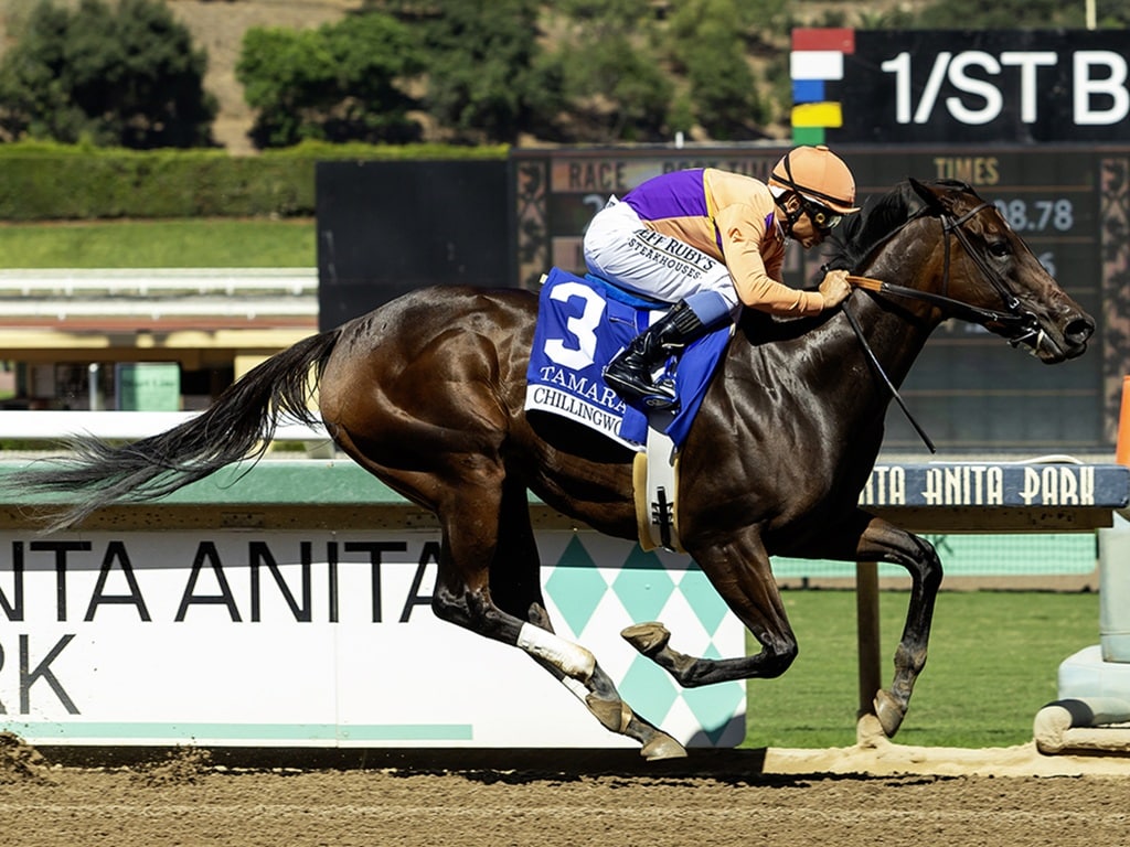Spendthrift Farm's Tamara and jockey Mike Smith win the Grade III $100,000 Chillingworth Stakes Saturday, October 4, 2025 at Santa Anita Park, Arcadia, CA. The Richard Mandella-trainee is the daughter of fan-favorite champion Beholder. Benoit Photo