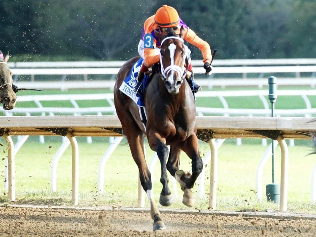 Tommy Jo, winner of the 2025 Alcibiades S. (G1) - Steven Ibanez/Coady Media