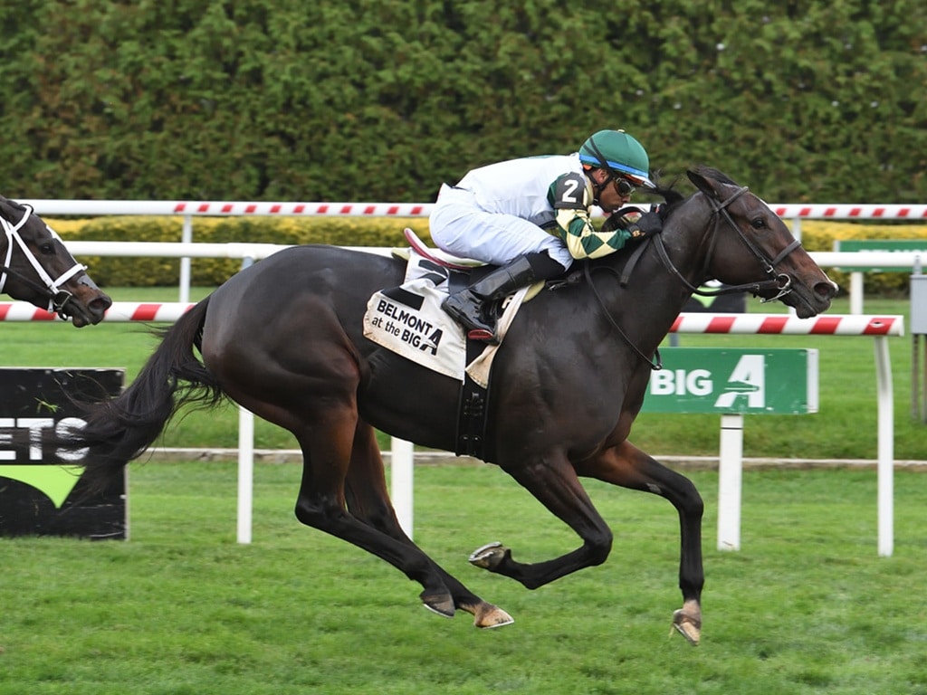 Love Cervere, Into Mischief's 90th graded stakes winner, takes the 2025 Glen Cove S. (G3) - NYRA